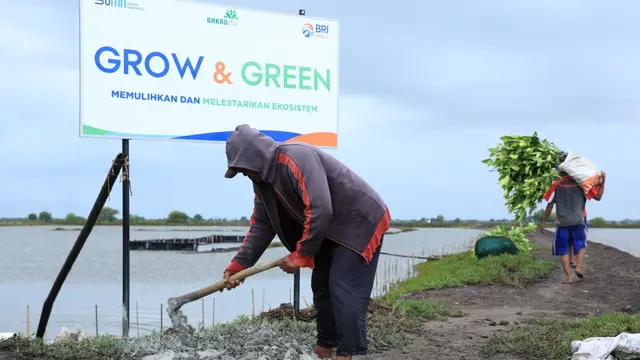 Dukung Net Zero Emission 2050, BRI Menanam Lebih dari 904 Ribu Bibit Pohon Produktif
