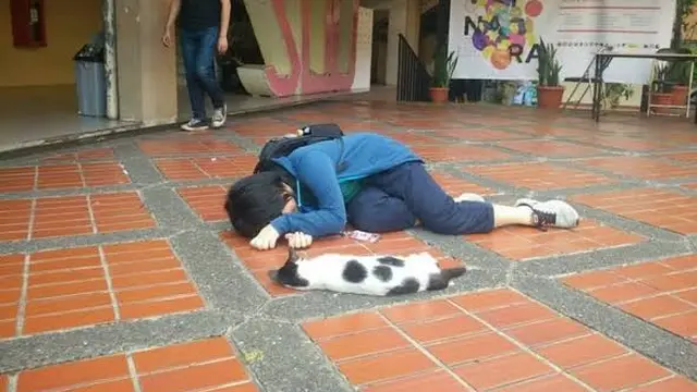 5 Potret Kelakuan Manusia Tiru Pose Kucing Ini Bikin Ketawa