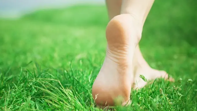 Foto: copyright thinkstockphotos.com