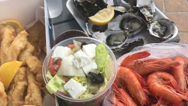 Wisata Menakjubkan Bersama Ikan Paus dan Burung Pelikan di Gold Coast Australia