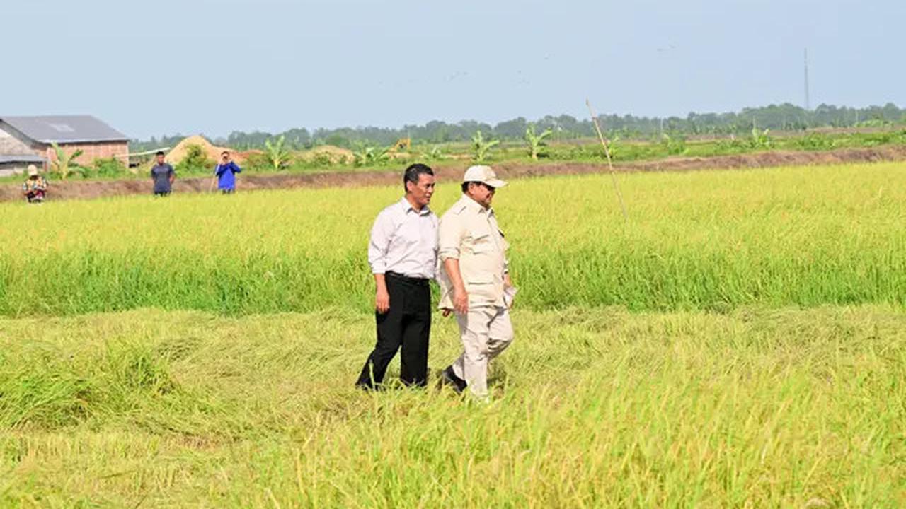 Mentan Amran: Indonesia Bisa Jadi Negara Adidaya 10 Tahun Lagi