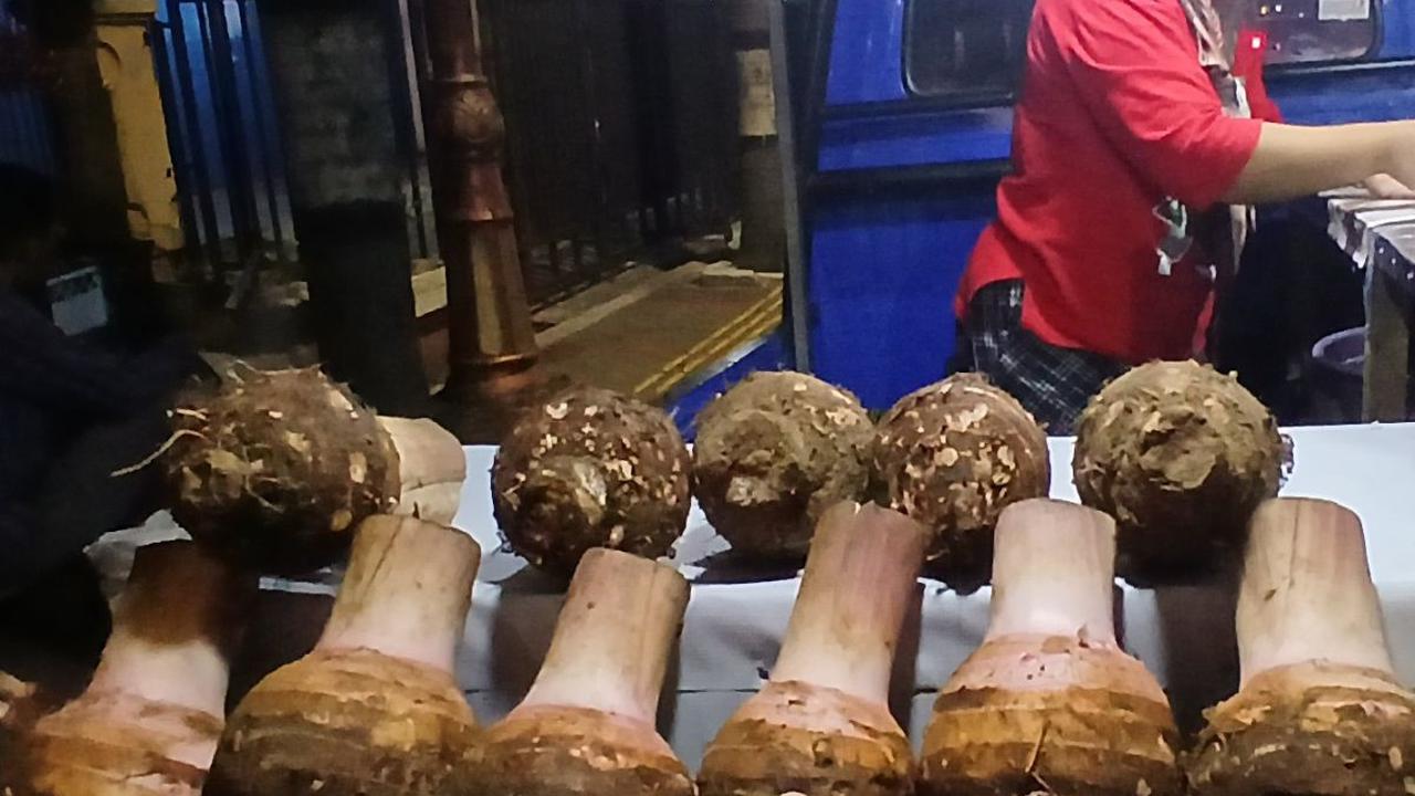Dok. Istimewa