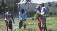 [VIDEO] Kemarau Datang, Waduk di Jombang Mengering