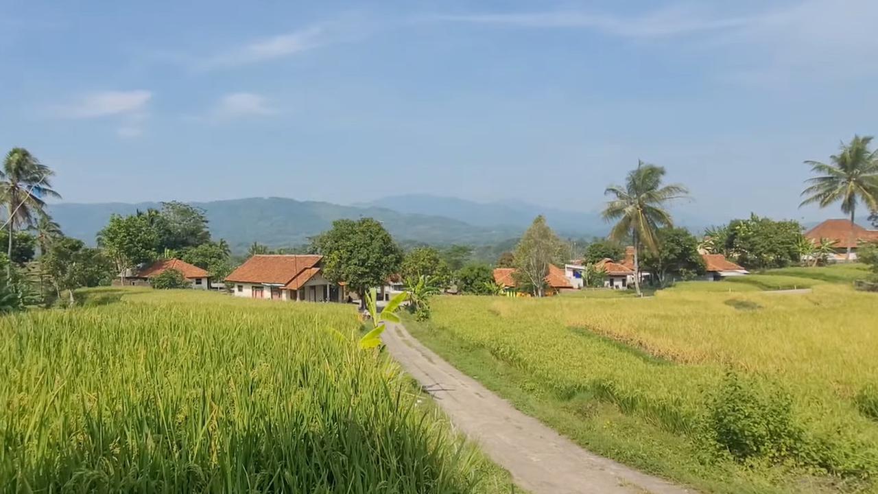 Kampung di Sumedang Ini Idaman Banget, Dikelilingi Sawah dan Punya Mata Air Jernih