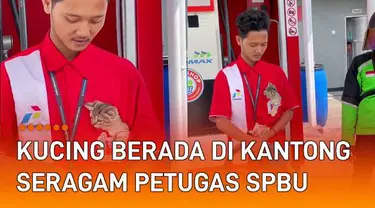 Aksi seorang petugas SPBU mengantongi seekor kucing menarik perhatian