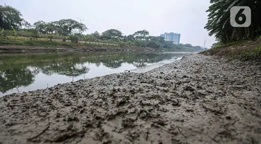 Kondisi aliran Kanal Banjir Timur (KBT) yang surut di kawasan Cakung, Jakarta, Rabu (23/8/2023). Musim kemarau yang terjadi dalam satu bulan ini menyebabkan debit air KBT berkurang sehingga beberapa bagian sungai membentuk daratan. (Liputan6.com/Faizal Fanani)