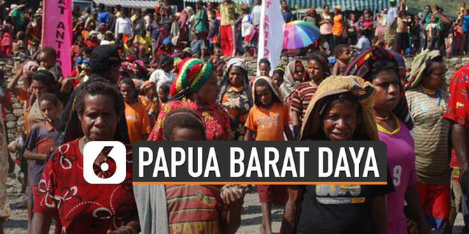 VIDEO: Ini Wilayah Calon Provinsi Papua Barat Daya yang Ingin Dimekarkan