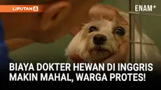Biaya perawatan hewan peliharaan di Inggris kian melangit, membuat banyak pemilik hewan peliharaan kesulitan membayar pengobatan. Otoritas Persaingan dan Pasar (CMA) menyerukan transparansi harga dan pengawasan lebih ketat terhadap praktik dokter hew...