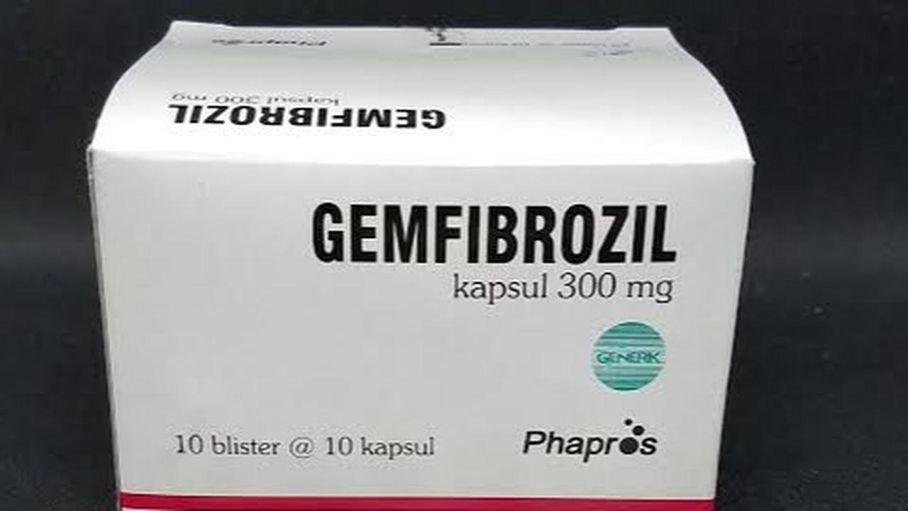 gemfibrozil