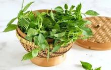 Daun Kemangi Tak Cuma Enak buat Lalapan, ini Daftar Khasiatnya Luar Biasa Bagi Kesehatan