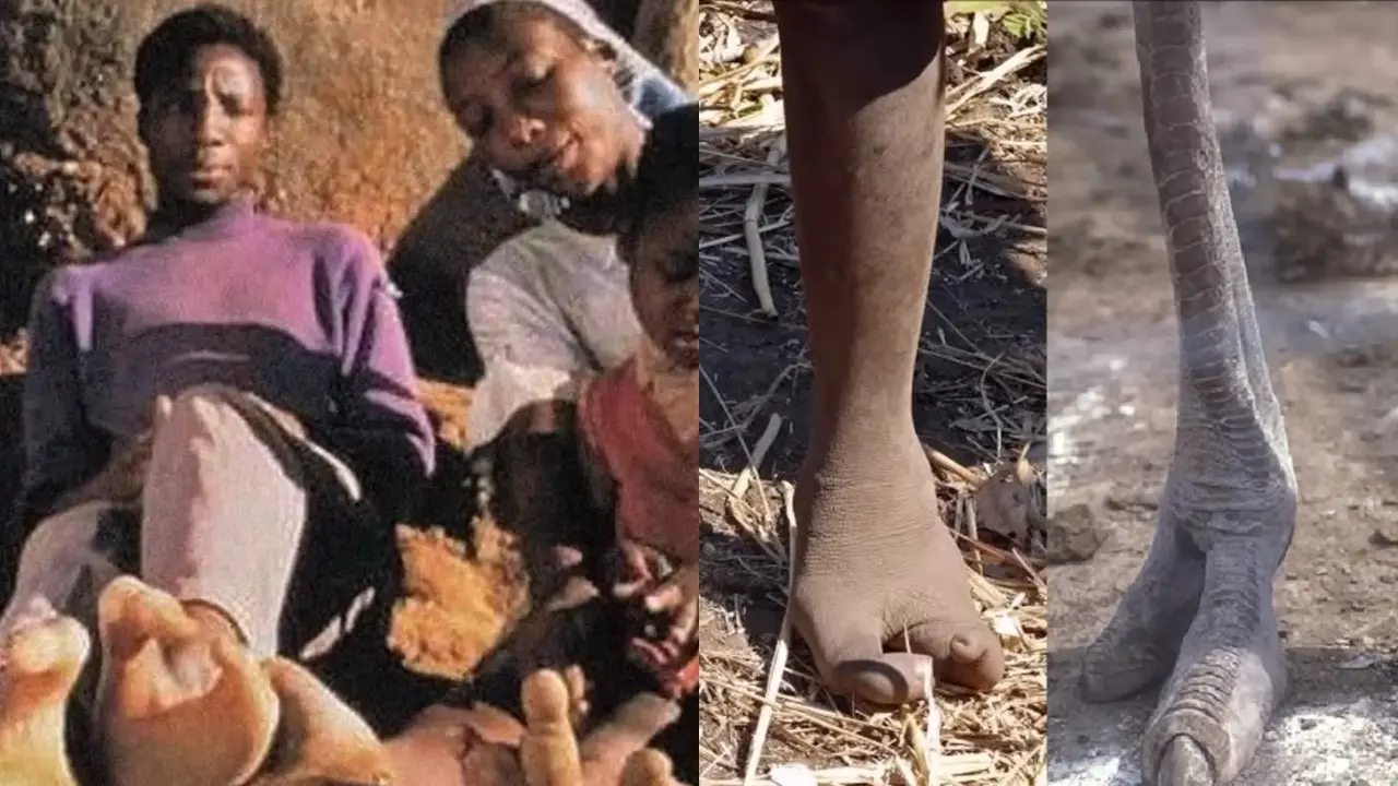 Suku Vadoma di Zimbabwe