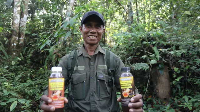 Budidaya lebah madu menjadi salah satu upaya rehabilitasi kawasan hutan mengingat peran lebah sebagai pollinator yang membantu penyerbukan tanaman di sekitar kawasan.