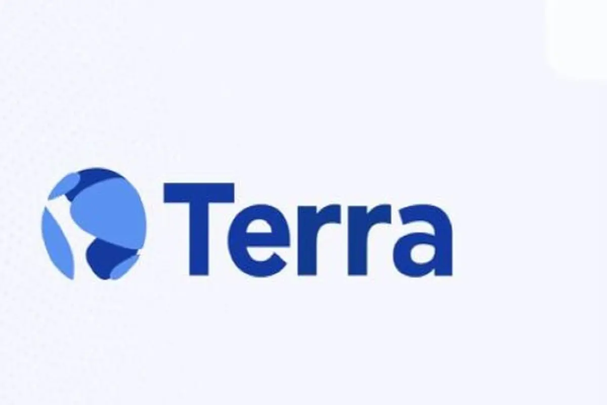 Ilustrasi Terra (Foto: tangkapan layar terra.money)