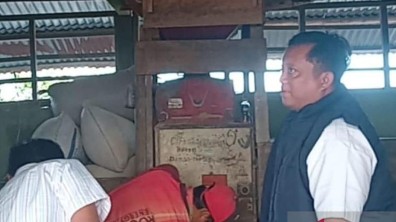 Bulog Belitung Siap Beli Beras Petani Rp12 Ribu/Kg, Jamin Stabilitas Harga dan Stok Pangan