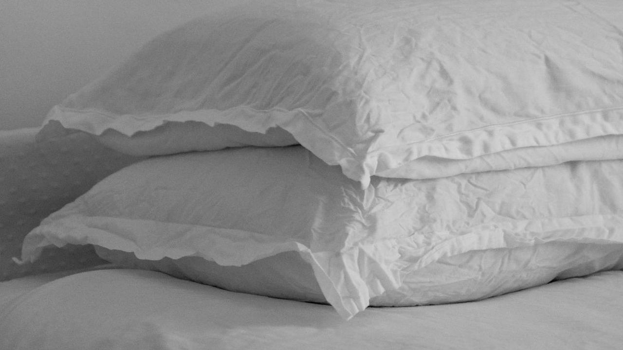 3.&nbsp; Bantal Leher atau Bantal Kecil<br>