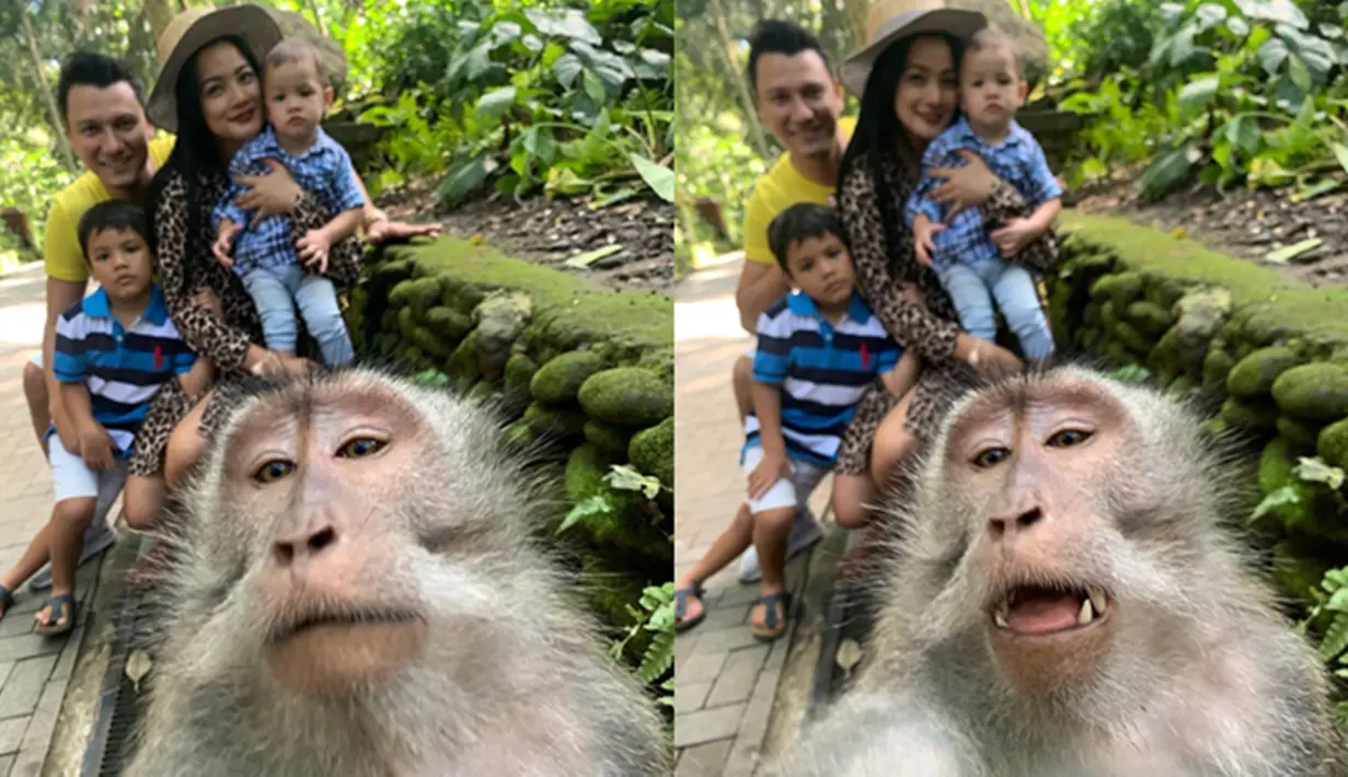 Titi Kamal dan Christian Sugiono mengajak dua buah hatinya menghabiskan liburan di Bali. Pasangan yang menikah pada tahun 2009 itu mencoba pengalaman berselfie dengan monyet. Lucunya, foto tersebut justru gagal estetik, karena membuat Titi Kamal dan keluarga jadi blur. (Liputan6.com/IG/@titi_kamall)