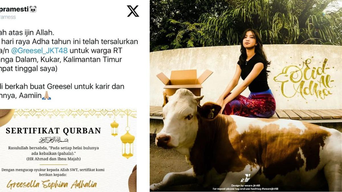 Unik, Greesel JKT48 Mendapat Hadiah Sapi Kurban dari Penggemar
