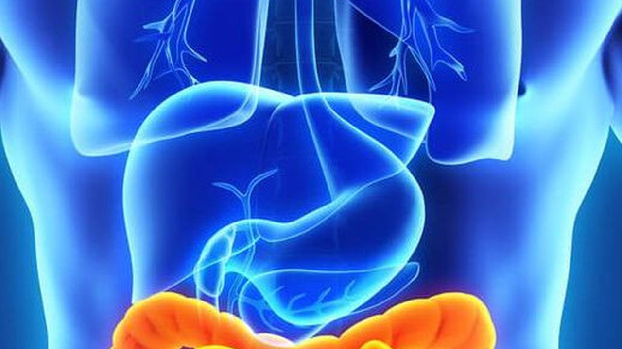 Memelihara Kesehatan Jantung dan Sistem Pencernaan<br>
