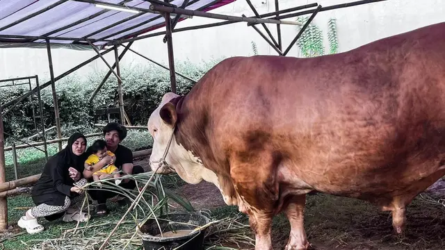 [Fimela] Atta Halilintar