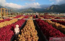 Beyond Rinjani: Menjelajahi Pesona Tersembunyi Wisata Sembalun NTB yang Eksotis