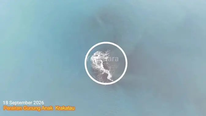 Heboh Kemunculan 'Cucu' Krakatau, Cikal Bakal Gunung Api Baru?