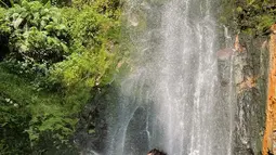 Sambil basah-basahan, Glenca unggah momen pemotretan di depan air terjun. Tidak sedikit para netizen yang membanjiri kolom komentar Instagramnya ini merupakan orang-orang yang sempat berpapasan dengannya ketika berada di curug. Tidak sedikit yang memuji sosok aslinya yang lebih menawan daripada fotonya. (Liputan6.com/IG/@glencachysaraofficial)