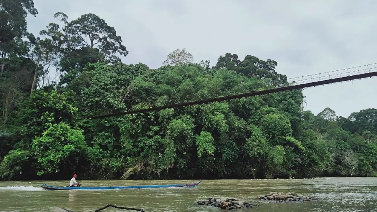 Hutan Adat Guguk