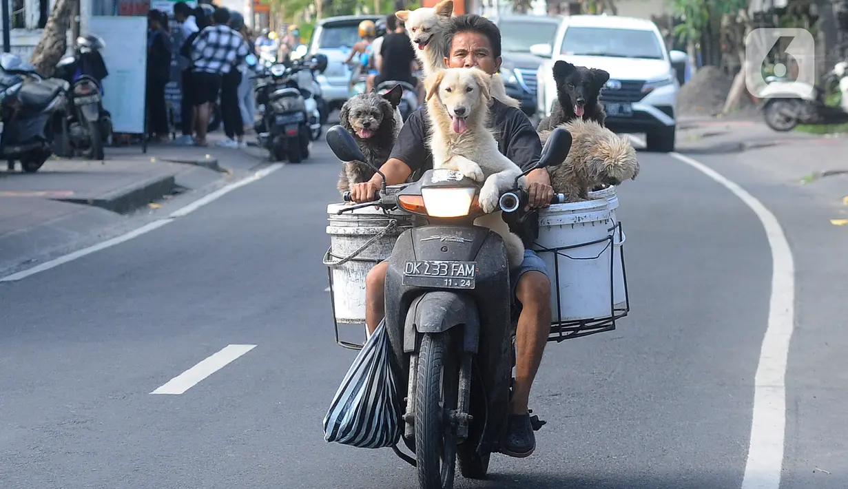 Sejak tahun 2000, pemuda yang memelihara 25 ekor anjing berkeliling rata-rata 5 hingga 10 km untuk mengambil limbah rumah makan. (merdeka.com/Arie Basuki)