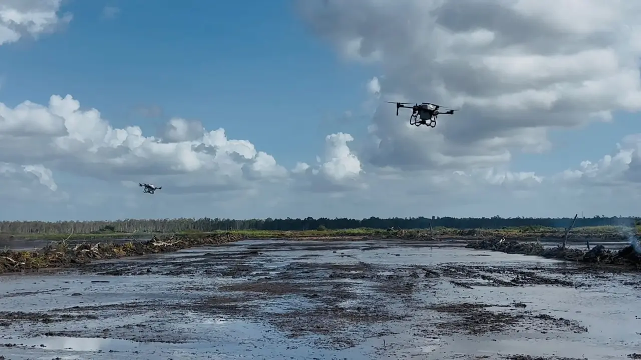Dua unit drone pertanian terbang rendah menyebarkan butiran pupuk secara merata di persawahan di Kampung Waninggap Kai, Distrik Semangga, Kabupaten Merauke, Papua Selatan. (Liputan6/Luqman Rimadi)