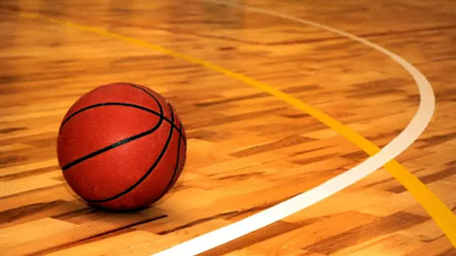 Ilustrasi Bola Basket