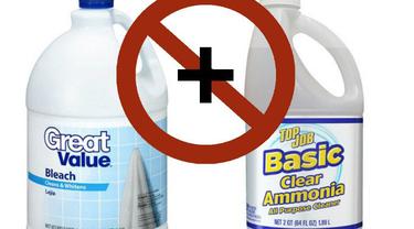 Cara Mengusir Ular dari Rumah Secara Alami