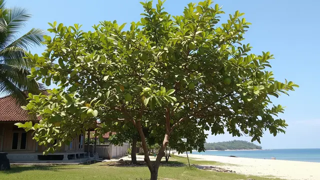 Tanaman Penghasil Buah yang Cocok untuk Daerah Pesisir (AI)