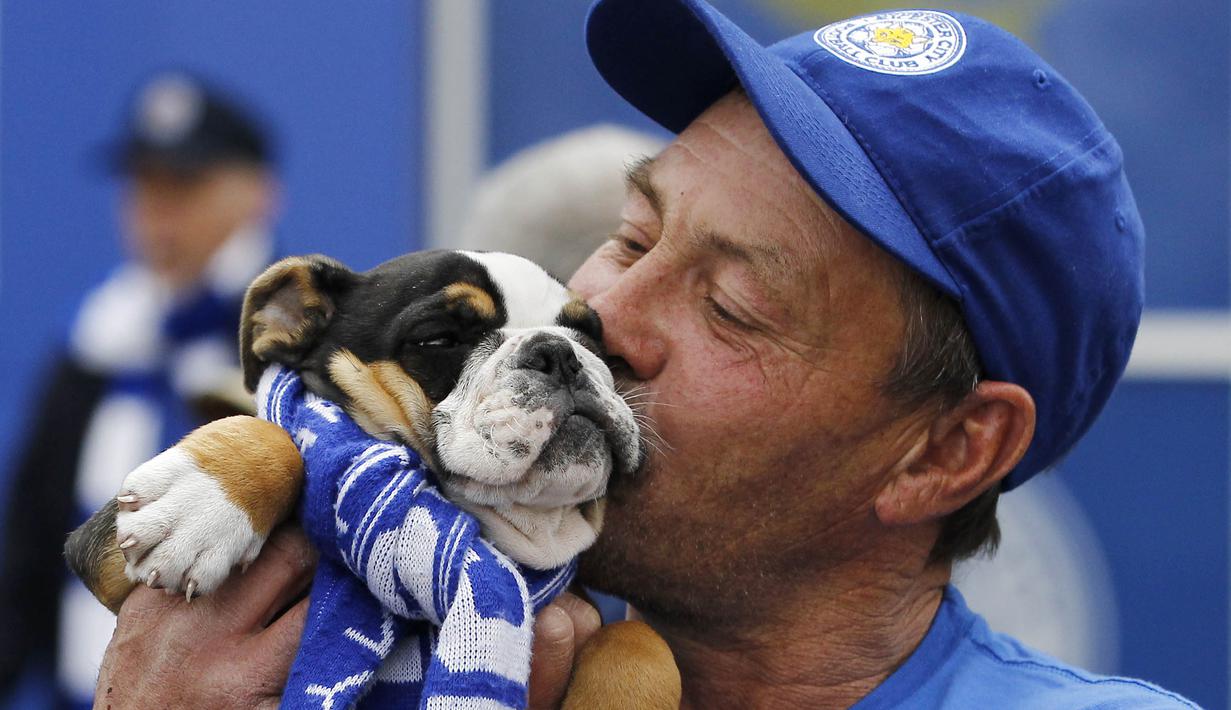 Keakraban suporter Leicester City dengan anjing kesayangannya saat merayakan gelar juara Liga Inggris, (3/5/2016). (Action Images via Reuters/Craig Brough)