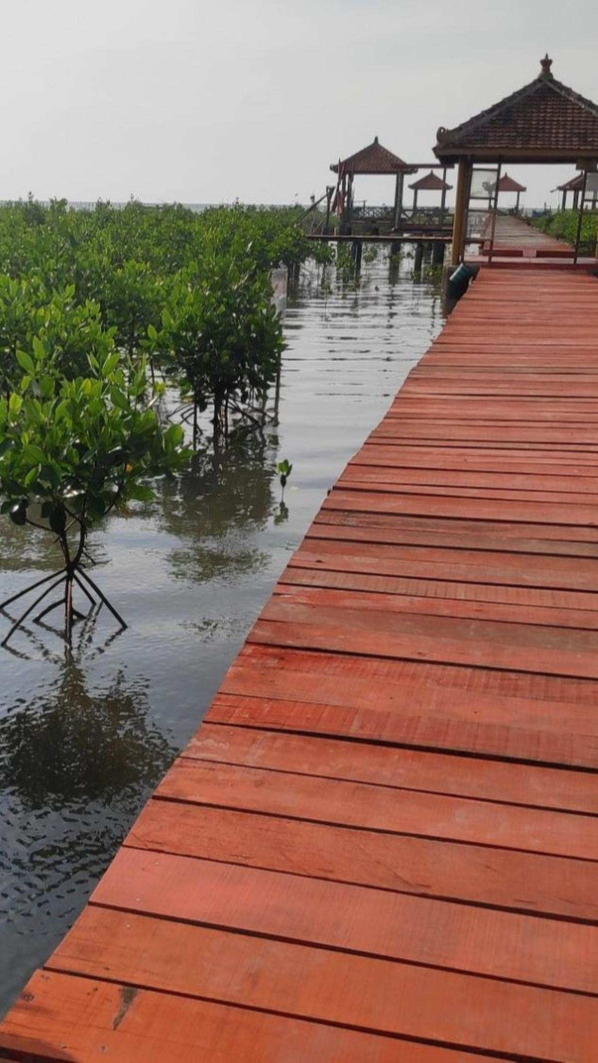 6.	Maron Mangrove Edupark