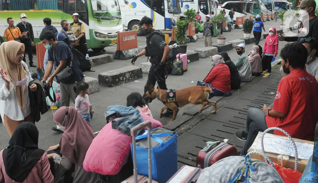 <p>Seorang petugas berpatroli dengan anjing pelacak K9 BNN di Terminal Kampung Rambutan, Jakarta, Rabu (27/04/20222). Pemeriksaan dengan anjing pelacak tersebut dilakukan guna mengantisipasi peredaran narkoba di tengah arus mudik menyambut Lebaran atau Hari Raya Idul Fitri 1443 H. (merdeka.com/Arie Basuki)</p>