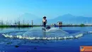 Citizen6, Karawang: Nelayan sedang menjala ikan. (Pengirim: Deni Iskandar)