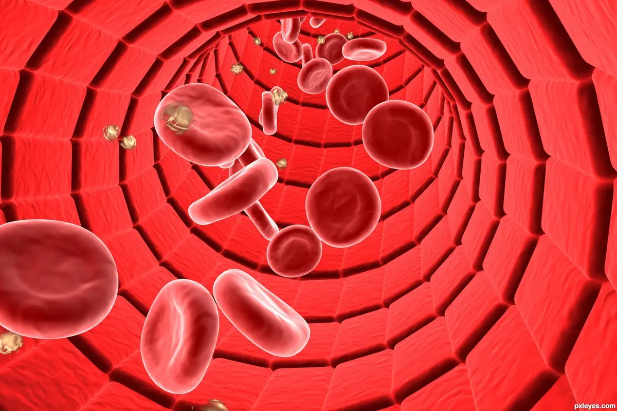 [Bintang] 10 Alasan Kenapa Kamu Harus Tidur Telanjang Mulai Malam Ini