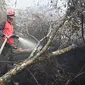 Seorang petugas pemadam kebakaran berupaya melakukan pemadaman di tengah pekatnya asap kebakaran di Kampar, provinsi Riau pada 17 September 2019. Kebakaran hutan dan lahan (karhutla) yang masih terjadi membuat sejumlah wilayah di Provinsi Riau terpapar kabut asap. (ADEK BERRY / AFP)