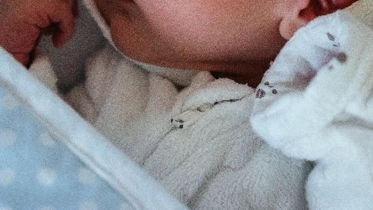 90 Nama Anak Laki-Laki Bernuansa Abad Pertengahan, Mengandung Arti yang Menakjubkan