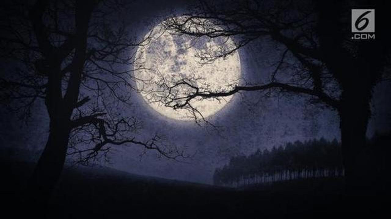 Fenomena Cold Moon 4 Desember 2025, Purnama Terakhir Tahun Ini Hiasi Langit Indonesia