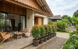 8 Tanaman dalam Pot untuk Membatasi Pandangan ke Teras, Solusi Hijau untuk Rumah yang Terlalu Terbuka