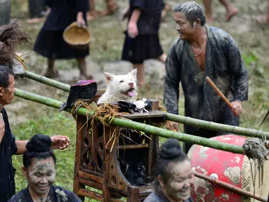 Sekelompok orang dari etnis Miao membawa anjing diletakan di kursi saat festival dog carrying day di provinsi Guizhou, Tiongkok (2/9). Acara ini menampilkan dan memamerkan anjing duduk di kursi yang digotong oleh masyarakat Miao. (AFP Photo/STR/China Out)