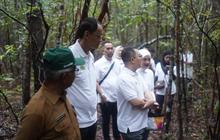 Jasaraharja Putera Tanam 100 Pohon Pelepak Dukung Wisata Hijau Berkelanjutan di Belitung