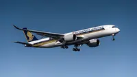 Singapore Airlines A350 &ndash; 900 Medium Haul (&copy;Singapore Airlines).