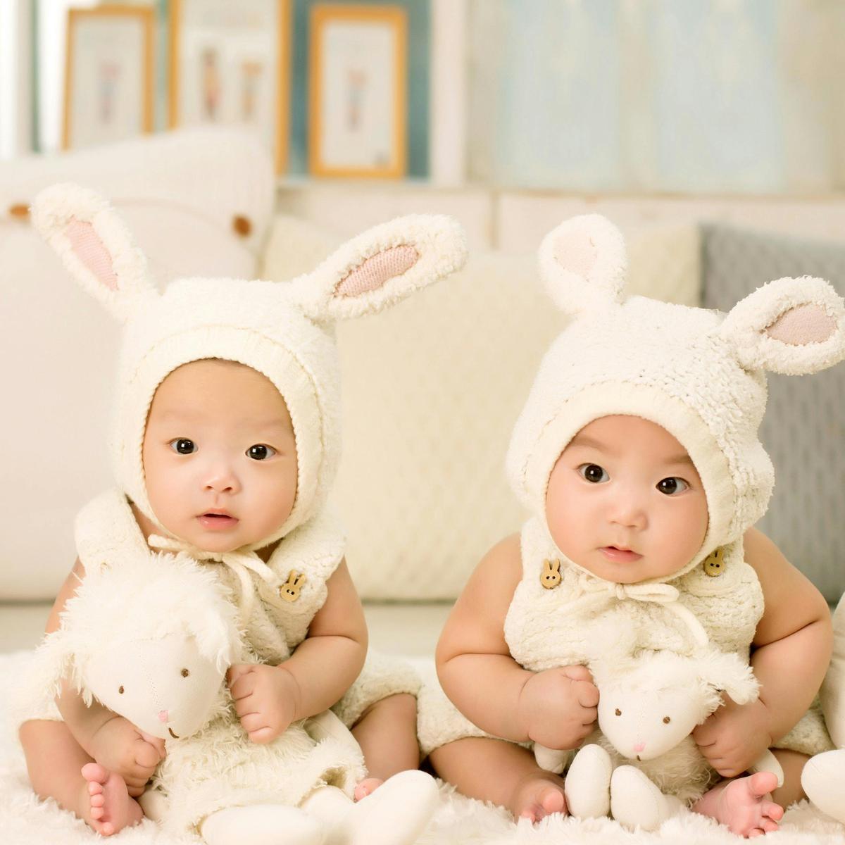 fakta anak kembar