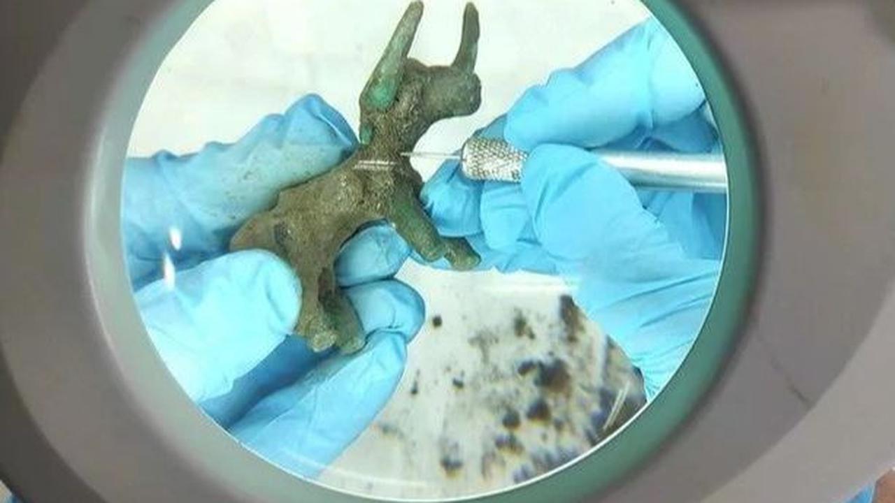 Patung banteng ini dikirim ke ahli di Kementerian Kebudayaan Yunani untuk diteliti lebih lanjut. Kementerian Kebudayaan Yunani kemudian memastikan patung ini kemungkinan besar merupakan persembahan kepada Zeus di kuilnya di Olympia Kuno.