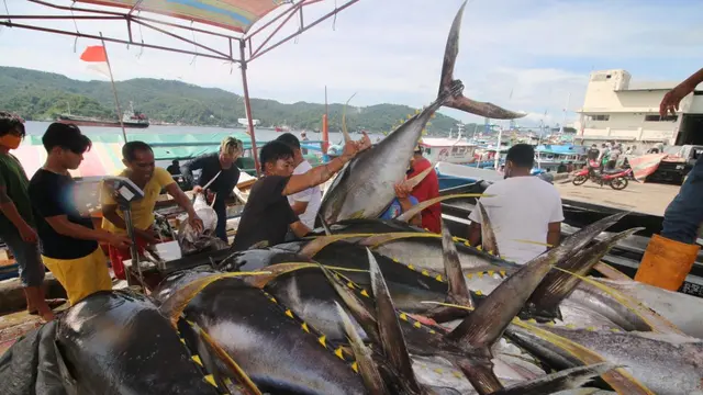 Menangkap Cuan dari Jelajah Ikan Tuna: Indonesia Berdaya, Nelayan Sejahtera