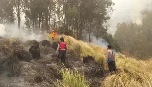 Kebakaran Gunung Bromo Berulang, Kemenhut Selidiki Dugaan Tindak Pidana