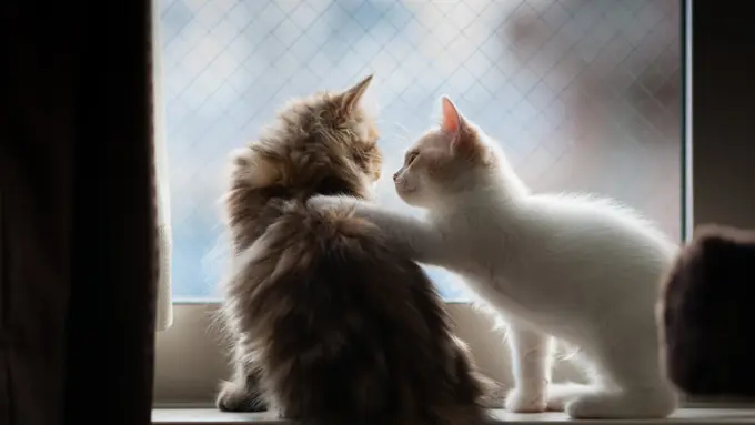 5 Tanda Kamu Punya Perasaan yang Sensitif