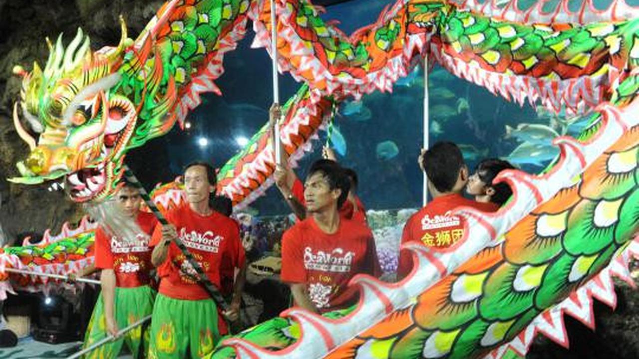 Atraksi Liong dan Barongsai hibur pengunjung Sea World Ancol